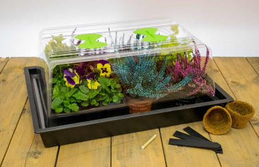 37 Watt Heated Propagator - £45.00