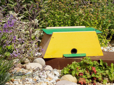 Bumblebee Nester & Minibeast Inspection Habitat 