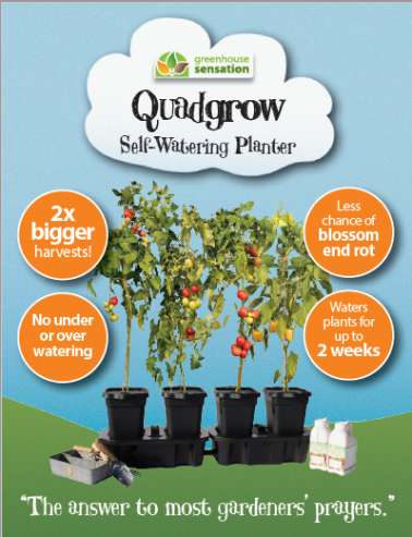 Quadgrow Self Watering Planter