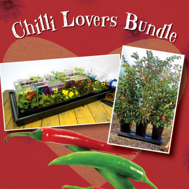 Chilli Lovers Bundle