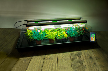 100W Geopod Heated Propagator with 90cm Lights