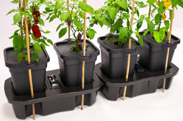 Quadgrow Mulch Cap & Cane Support Kit 