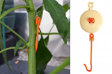 Plant YoYo Supports - Pack of 10