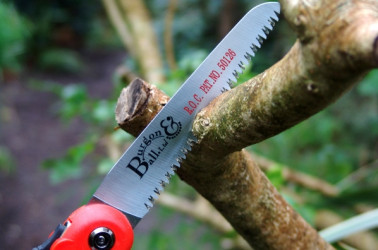 Folding Pruning Saw - Recommended by The English Garden
