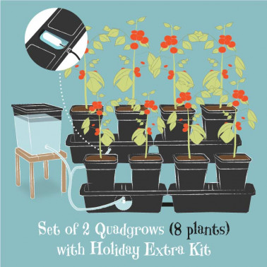 Quadgrow Planter With Double Holiday Watering Kit