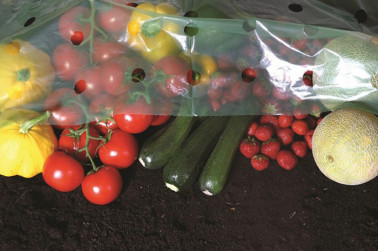 Fruit & Vegetable Ripening Cover