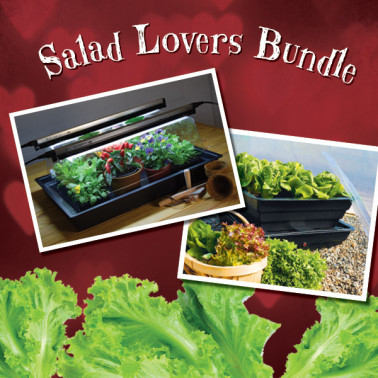 Salad Lovers Bundle