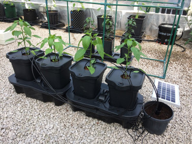 Solar Quadgrow Conversion Kit