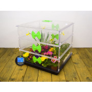 Vitopod Heated Propagator - Best Seller