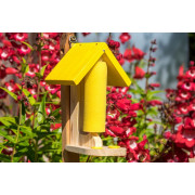Butterfly & Bee Feeder - Best Seller