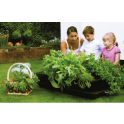 Salad & Veg Planter