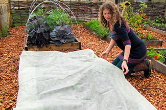 Frost Protection Fleece: 10 Metres x 1.8 Metres