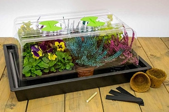 37 Watt Heated Propagator - £45.00