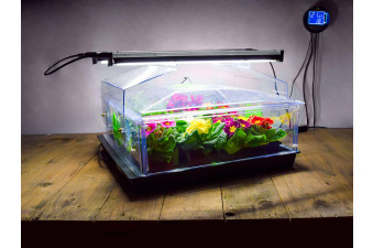 50W Standard Single Height with Lights