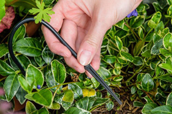 FloPro Plug & Go Water: Pots & Container Kit