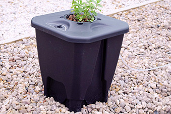 Oxypot Hydroponic Planter