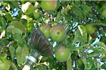 146cm Long Fruit Tree Picker Tool
