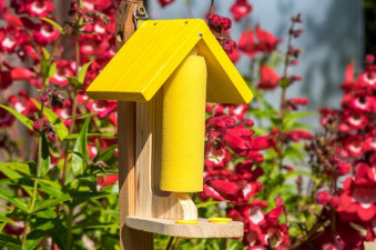 Butterfly & Bee Feeder - Garden Wildlife Habitats & Feeders 