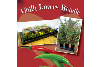 Chilli Lovers Bundle
