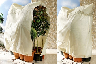 100gsm Plant Frost Fleece Cover - Jumbo