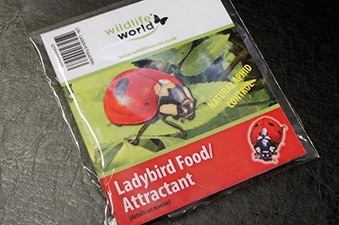 Ladybird Attractor Food - £3.99