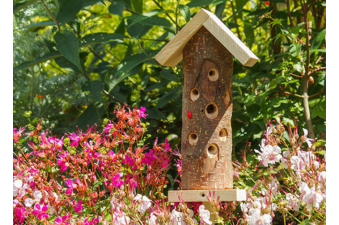Original Ladybird Tower