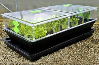 Salad & Vegetable Planters With Mini Greenhouse