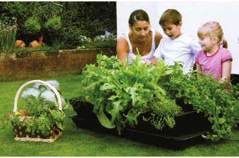 Large Vegetable & Salad Planters From £48.00