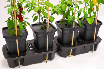 Quadgrow x2 Mulch Cap & Cane Support Kit