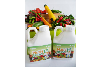 Nutrigrow nutrients - plant feed