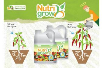 Nutrients for Hydroponic Planters