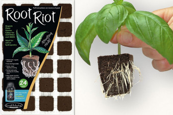 Root Riot Cubes - 24 Pack