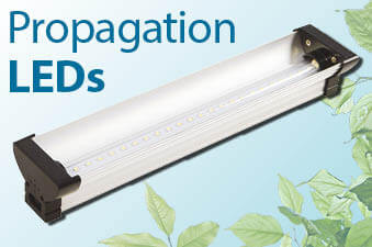 LED Lights - Propagation