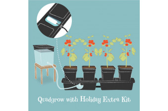 Holiday Watering Kit 