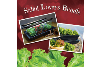 Salad Lovers Bundle
