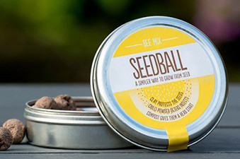 Bee Mix Seed Tin 