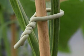 Soft-Tie Plant Support Ties - £4.95