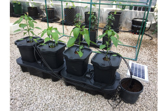 Solar Quadgrow Conversion Kit