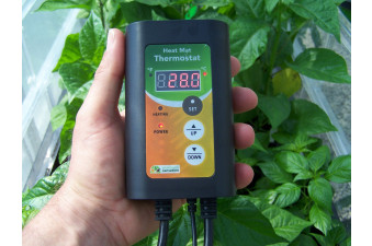 Vitopod Deluxe Thermostat Controller