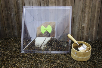 Vitopod Propagator Lid (Pack of 1) 