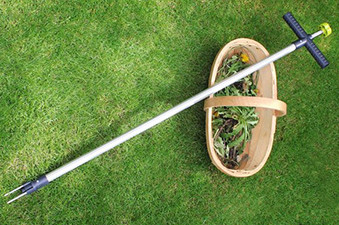 Wonder Weed Puller