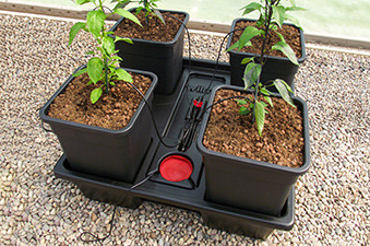 Origin Dripper System