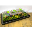 100 watt Unapod Heated Propagator