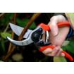Bypass Secateurs 