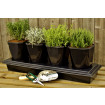 Herb Planters