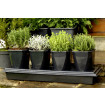 2x Herb Planters - Special Price