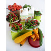 Nutrigrow Plant Food 2.5L