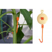 10 Plant YoYo Supports