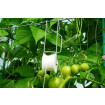 1 x Plant Roller Hook Support