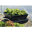 Salad & Veg Planter
